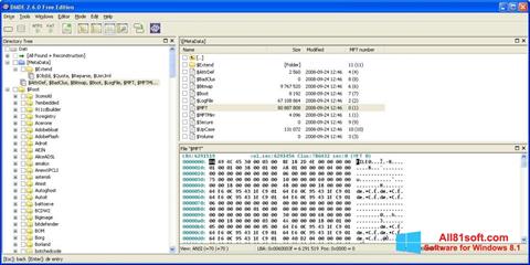 Ekran görüntüsü DMDE Windows 8.1