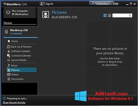 Ekran görüntüsü BlackBerry Link Windows 8.1
