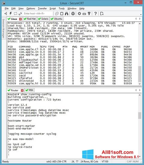 Ekran görüntüsü SecureCRT Windows 8.1