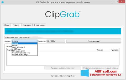Ekran görüntüsü ClipGrab Windows 8.1