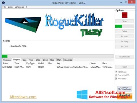Ekran görüntüsü RogueKiller Windows 8.1
