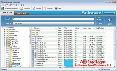 Ekran görüntüsü File Scavenger Windows 8.1