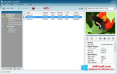 Ekran görüntüsü Any Video Converter Windows 8.1