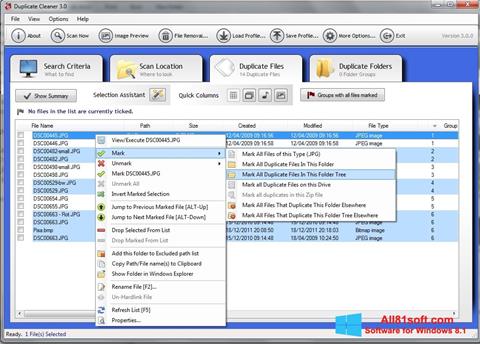 Ekran görüntüsü Duplicate Cleaner Windows 8.1