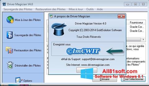 Ekran görüntüsü Driver Magician Windows 8.1